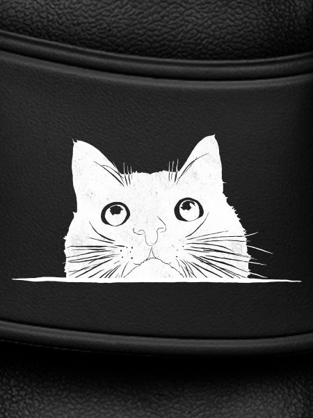 Peeping cat with whiskers