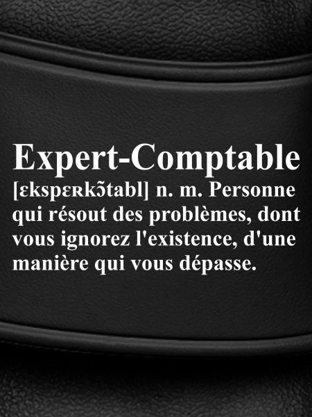 Expert-Comptable Définition
