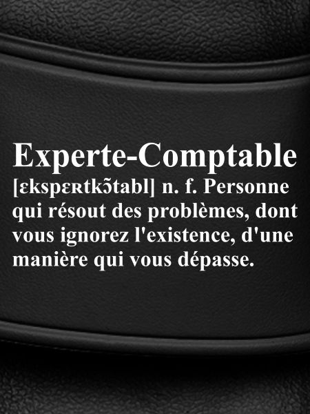 Experte-Comptable Définition