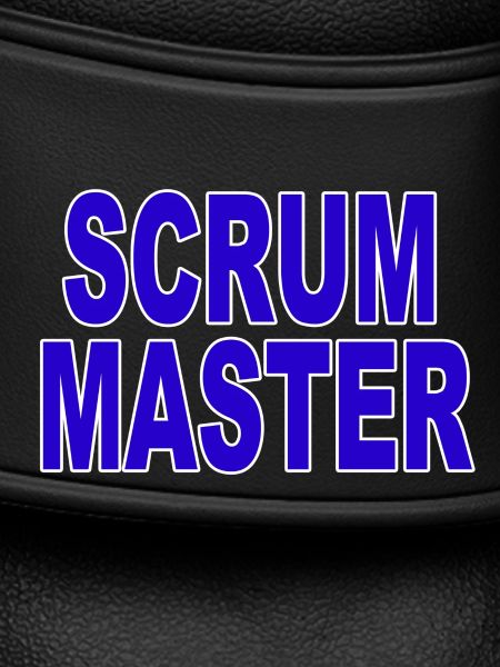 Agile - Scrum Master