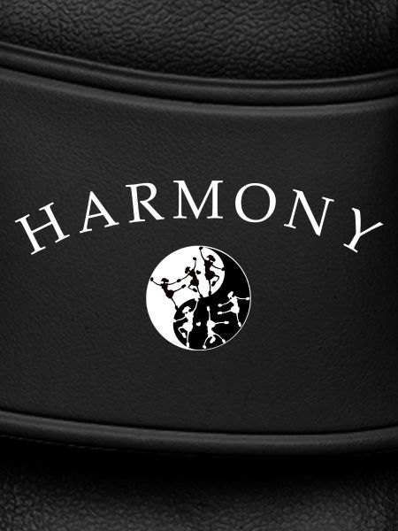 Dancing Ballet Harmony