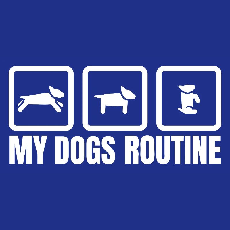 Routine de mes chiens