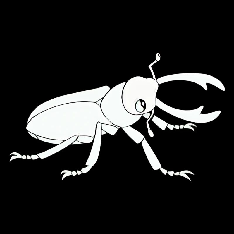 insect