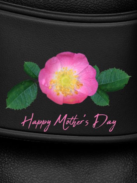 Mothers Day Rose