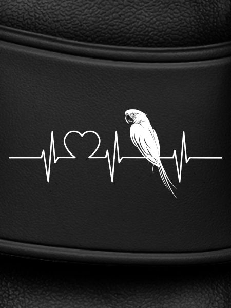 Macaw's Era