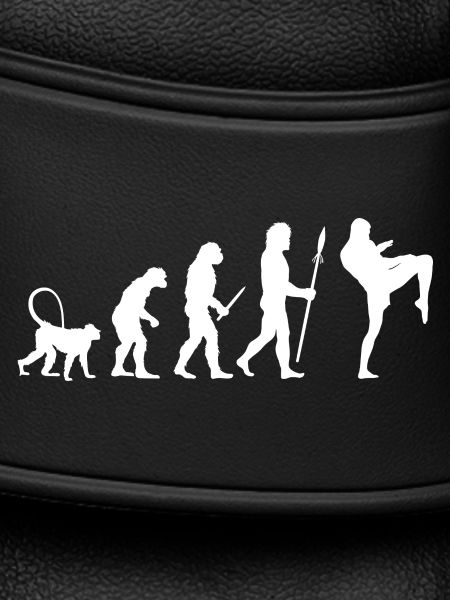 Entwicklung eines Kickboxers