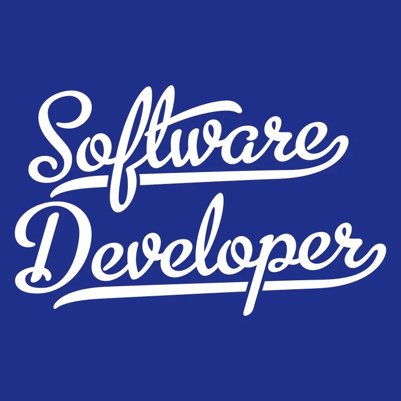 Software Developer