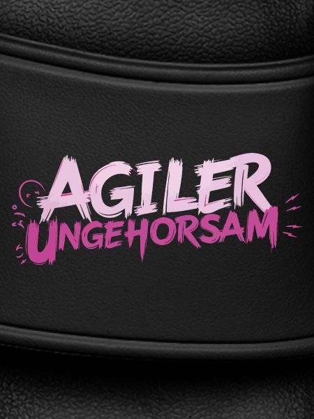 Agile Disobedience - Statement