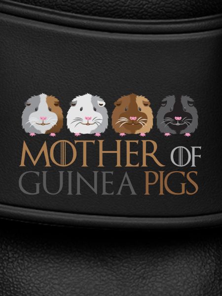 Mère de cochon d'inde
