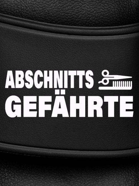 SECTION COMPAGNON