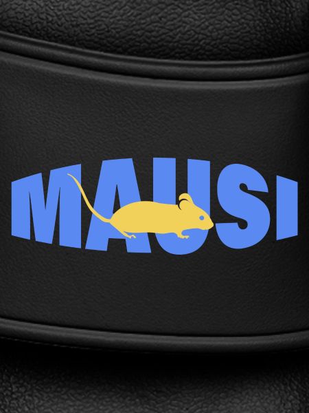 MAUSI