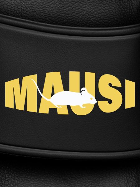 MAUSI