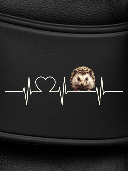 Igel