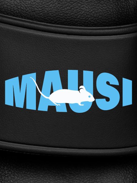 MAUSI