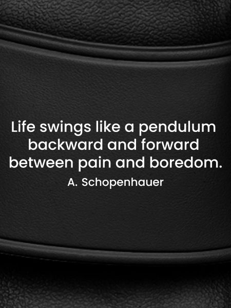 Schopenhauer sarcastic quote