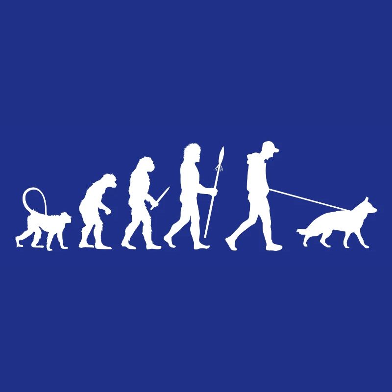 Evolution Deutscher Schäferhund