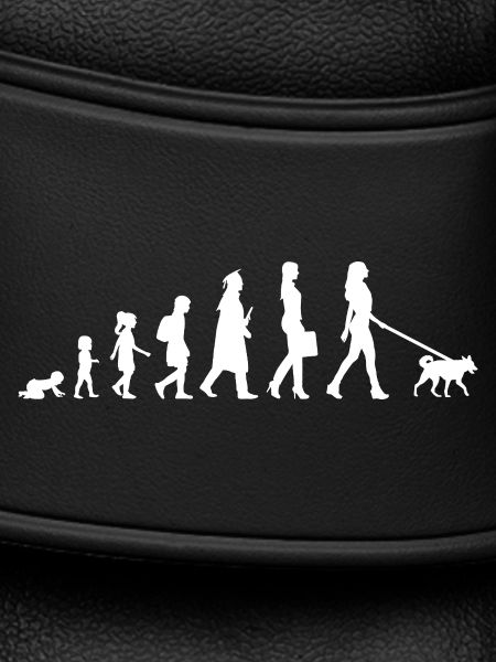Évolution d’un propriétaire de chien