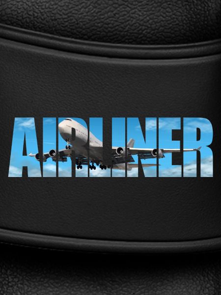 Airliner Jumbo Jet