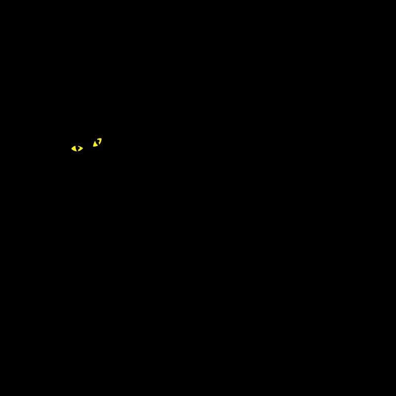 CAT LADY with black cat and yellow eyes!