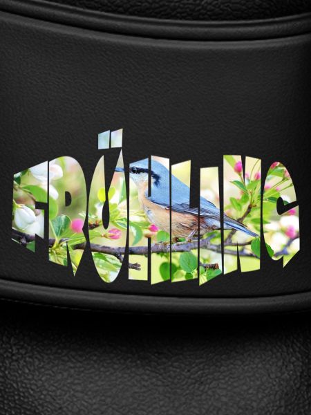 spring 1