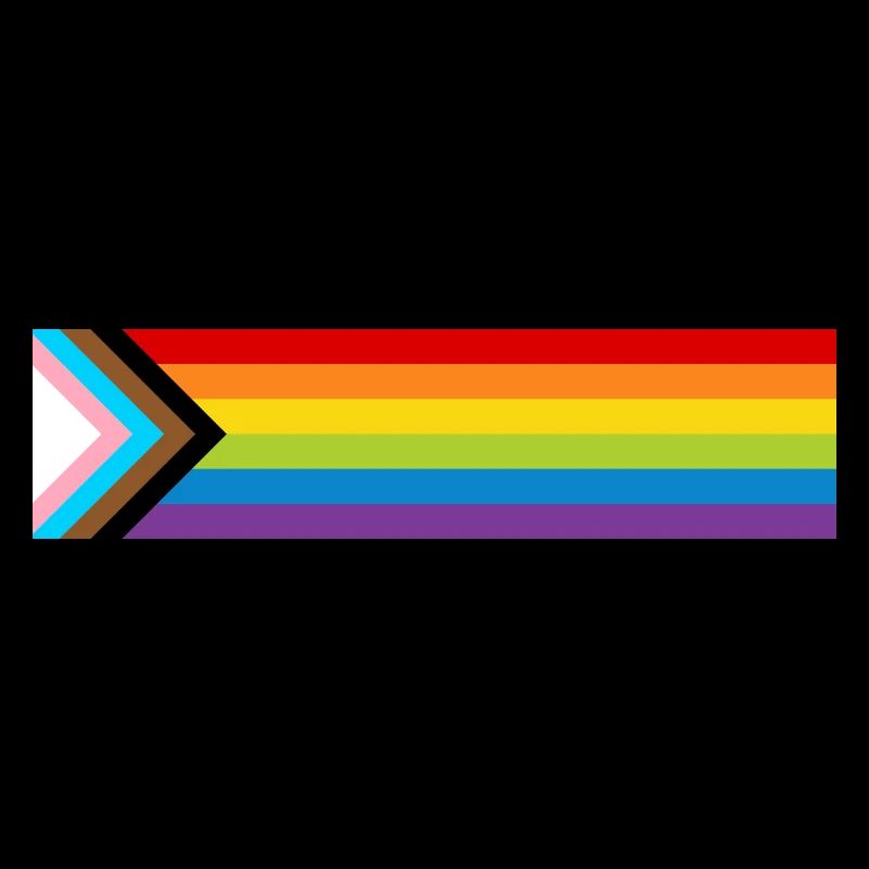 LGBTQ+ Pride Flag New Rainbow Progress Flag