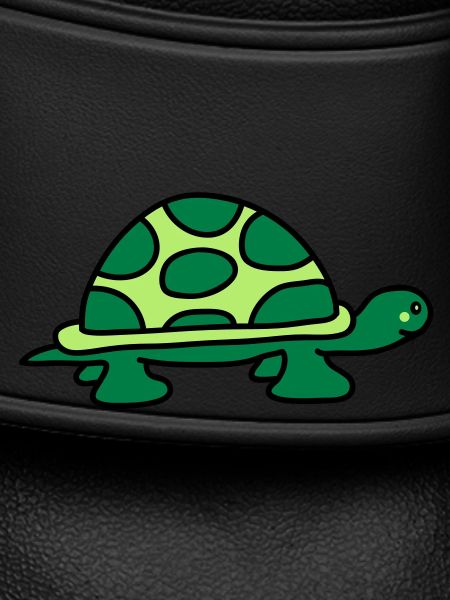 turtle