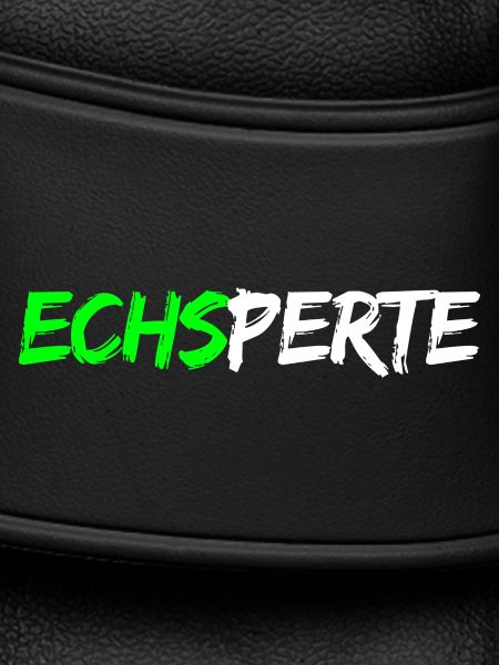 Echsperte - expert, funny pun