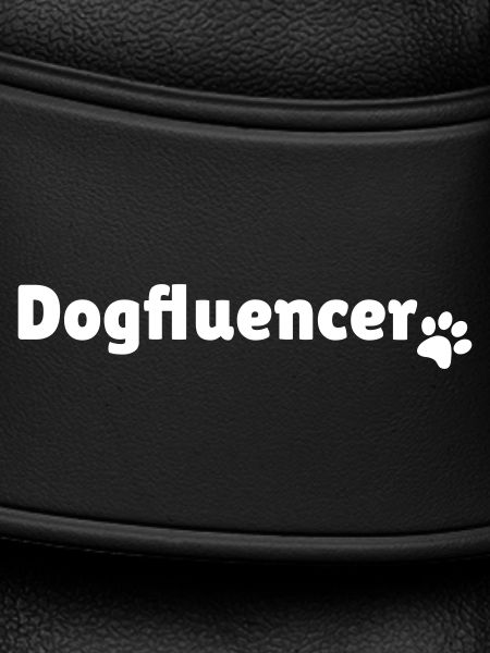 Dogfluencer