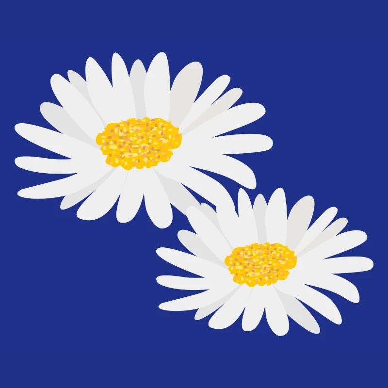 Blume Gänseblümchen