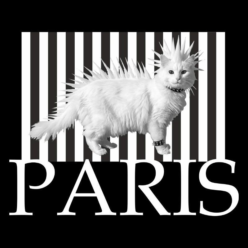 Paris Mohawk Punk Cat en rayures