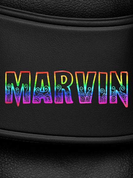 marvin rs rainbow