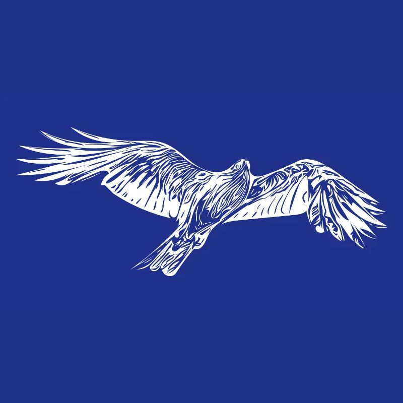 Faucon volant élégant