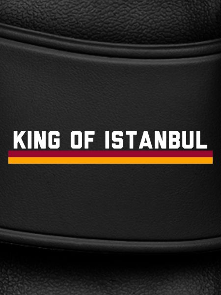 Aslan Istanbul