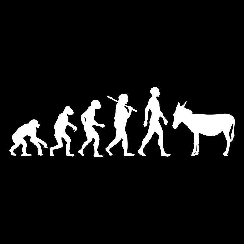 Evolution Esel Maultier Tier Geschenk idee