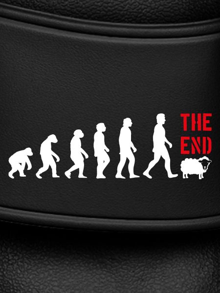 EVOLUTION FUNNY FUNNY
