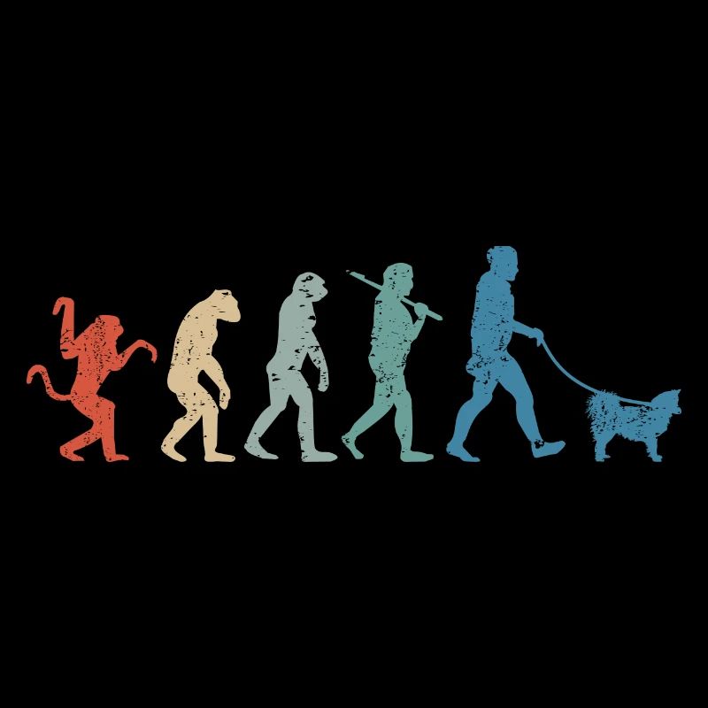 Islandhund Evolution Retro Vintage