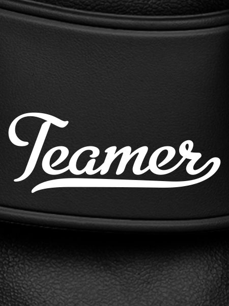 Teamer (Équipier)