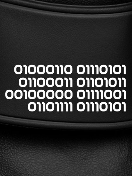 Binary fuck you