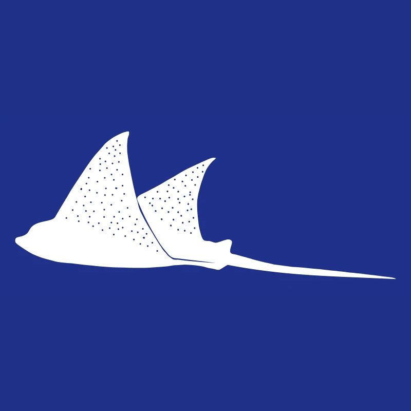 Eagle rays in flight mode