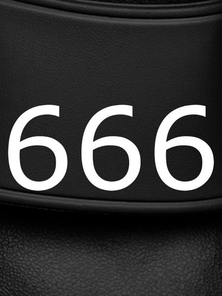 666