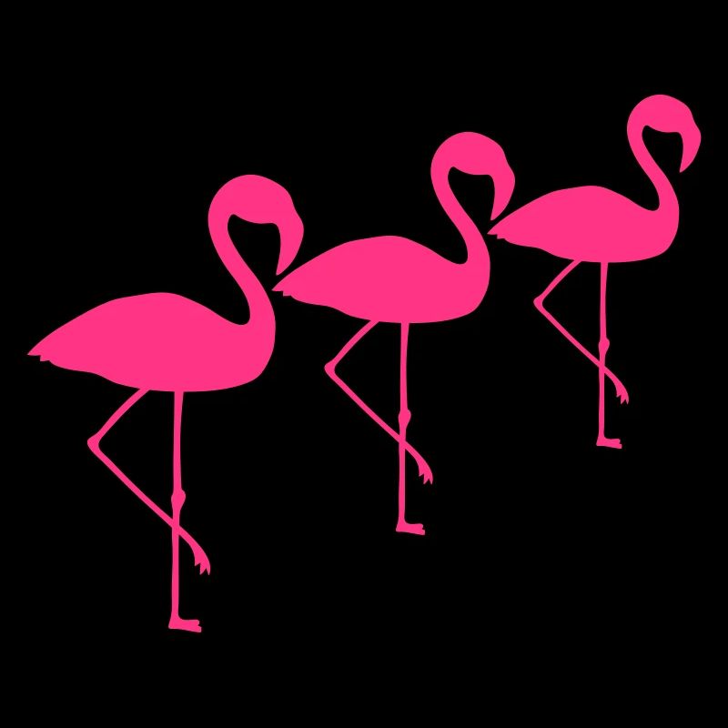 crew team 3 freunde silhouette umriss flamingo cli