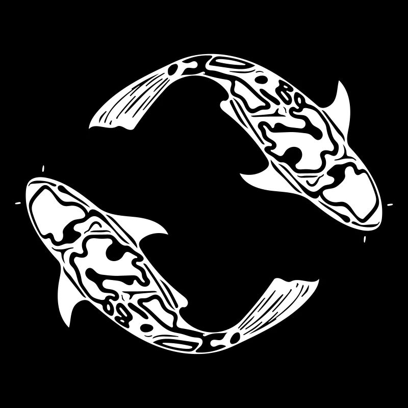 Deux poissons de carpe Koi Vector