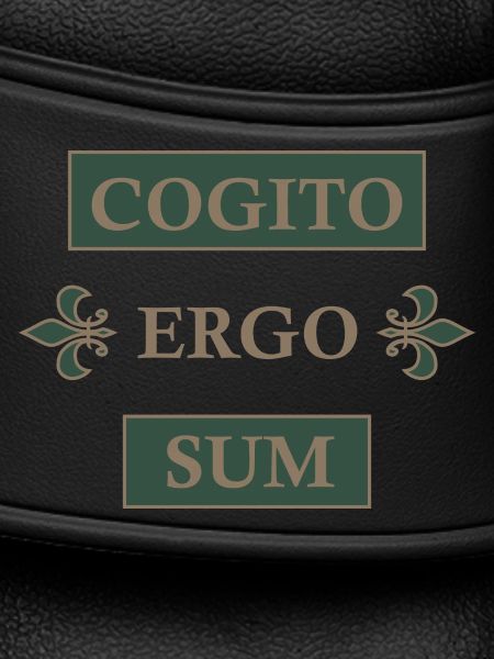 Cogito ergo sum