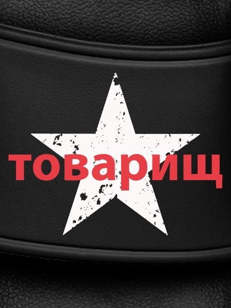 товарищ