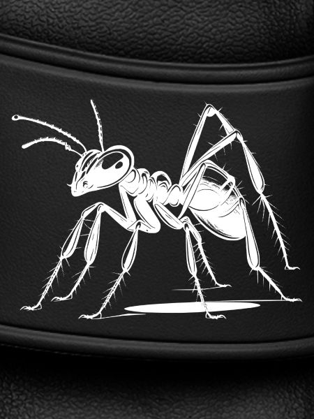 Ant