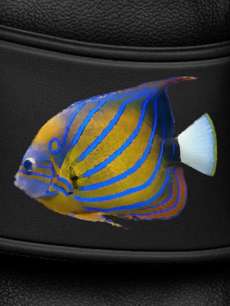 fish tropical