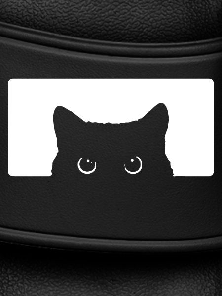 Cat look cat look