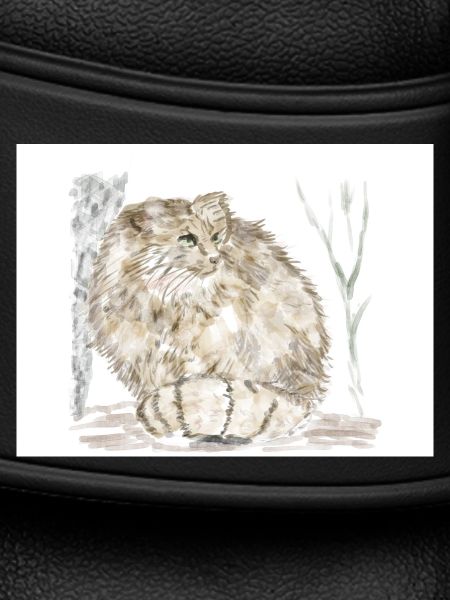 Manul wild cat
