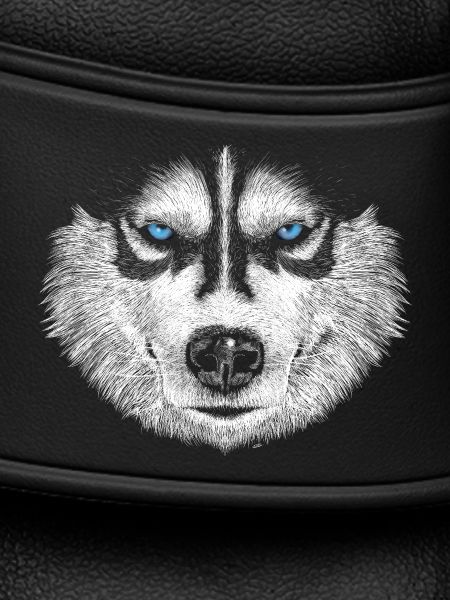 Husky