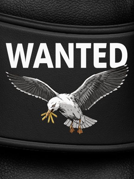 Wanted: French Fries Seagull